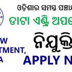 Odisha Block Wise DEO Recruitment